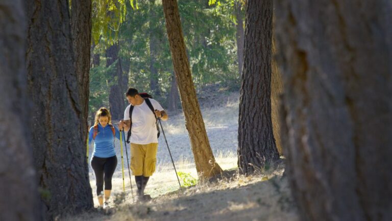 Ottawa National Forest Hiking